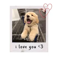 1รูป