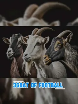 3goat of footboll