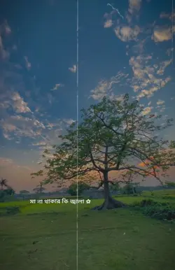 মায়ের দোয়া ছাড়া কেউ