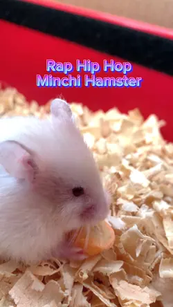 Rap Hamster