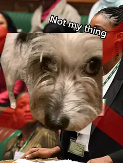 Funny template 4 pet