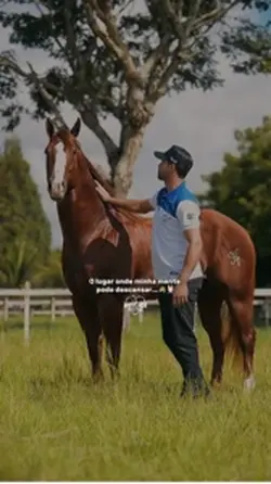 Cavalo 