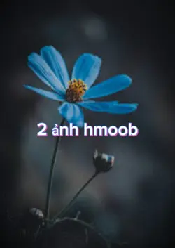 2ảnh hmoob 