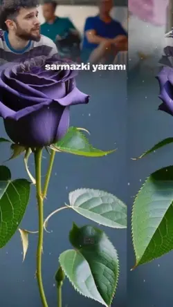 yeni şablon