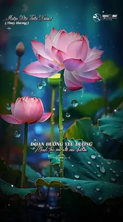 Muộn Rồi Tuổi Xuân 