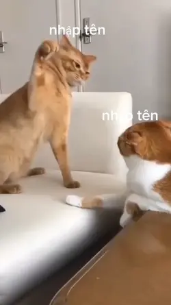 nhập tên 