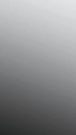 ANTI MIROR