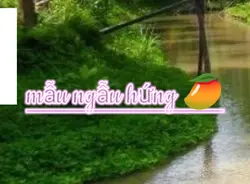 ngẫu hứng