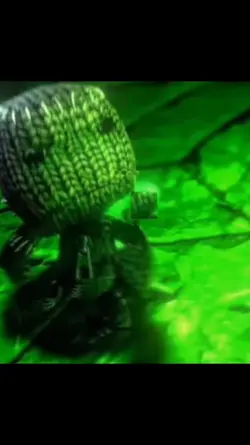 sackboy
