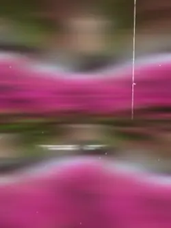 song 
