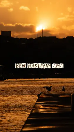 sen cok guzelsin