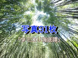 ウミユリ海底譚/写真31枚