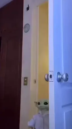 Yoda meme