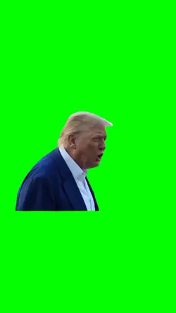 WHATHE F**CK DOING