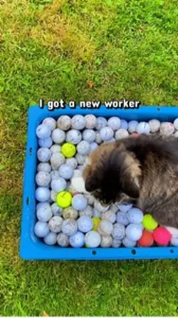 New worker