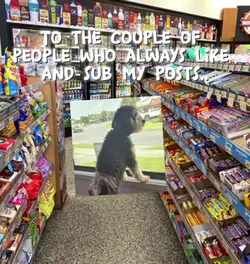 Y'all want anything?