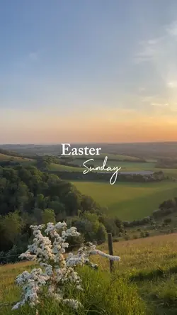 Easter Sunday x