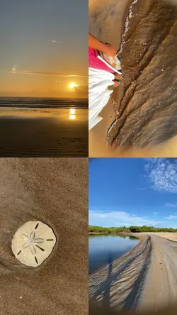 colagem 4 vídeos