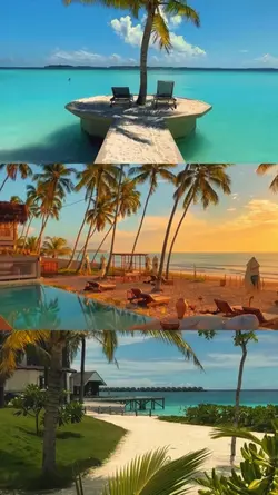 Summer Travel Dump