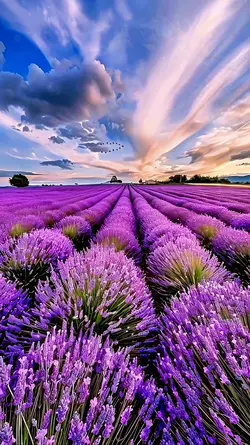 BEAUTIFUL WORLD 