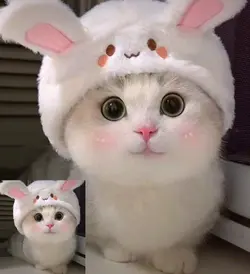 cute 