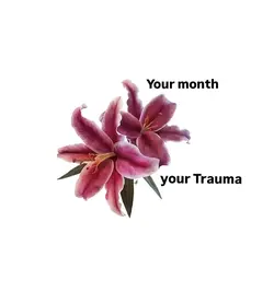 ‎ 