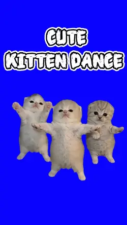 CUTE KITTEN DANCE 