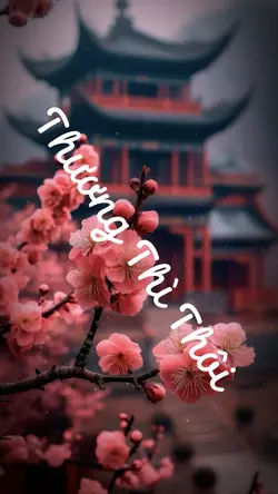 THƯƠNG THÌ THÔI 