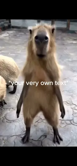 Dancing Capybara