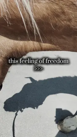 Freedom