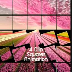 Squares Animatio