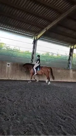 Slomo eq💖