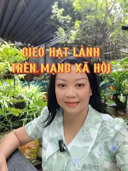 GIEO HẠT LÀNH MXH