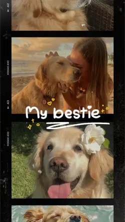 Pet - My bestie🐶