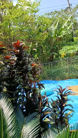 Selang waktu 1 video