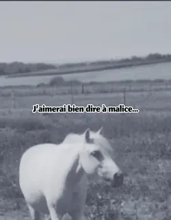 Elle me manque 💔