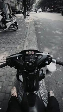 Trình Chiếu + Màu