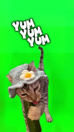 YumYumYum 