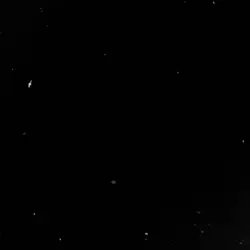 angel/devil