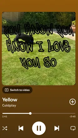 Yellow🔥