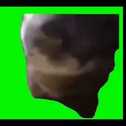 【猫ミーム】逆再生チピチャパ猫素材
