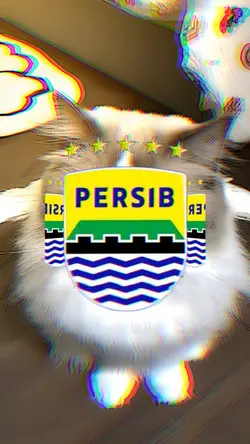 jj persib