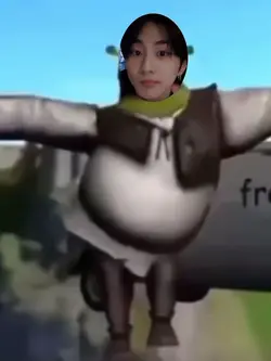 shrek dancy dancy