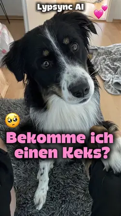 Hund spricht KI