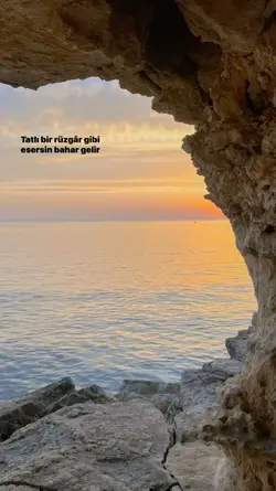 yeni bolum