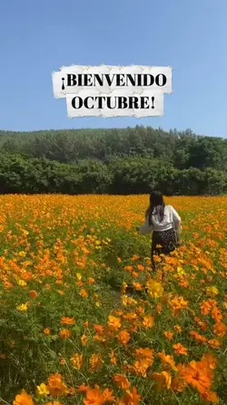 Bienvenido Octubre