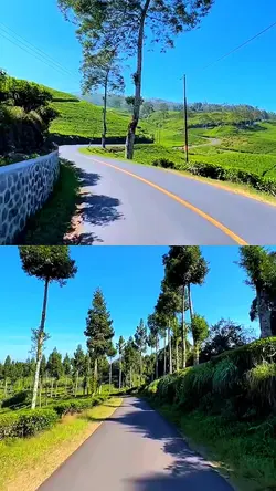 2 video collage HD 