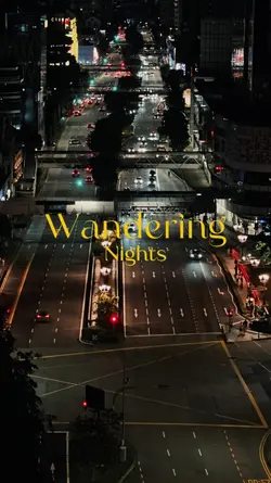 Wandering Night