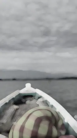 Natire slowmotion
