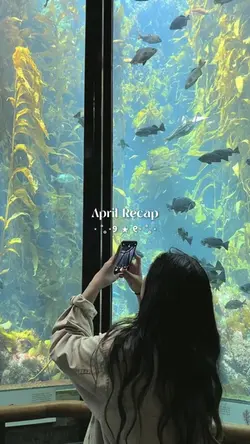 April Recap/Dump2024
